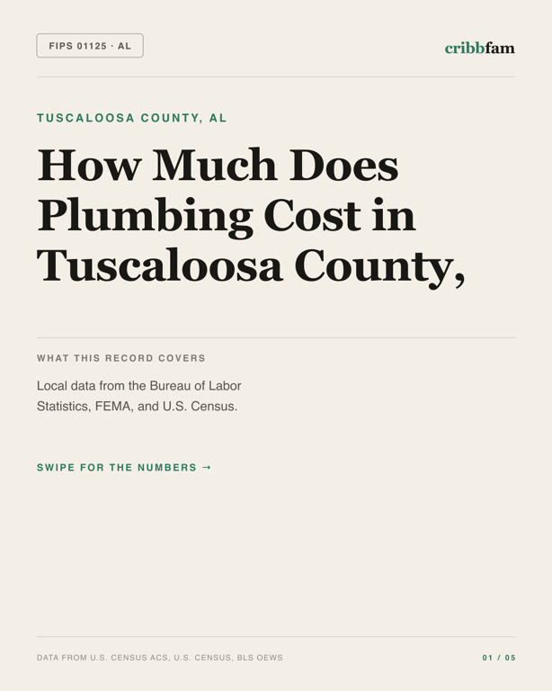 Plumbing in Tuscaloosa County, AL — regional cost snapshot