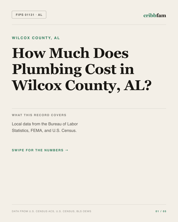 Plumbing in Wilcox County, AL — regional cost snapshot