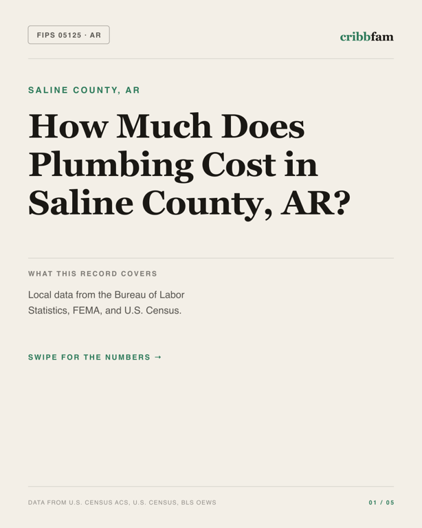 Plumbing in Saline County, AR — regional cost snapshot