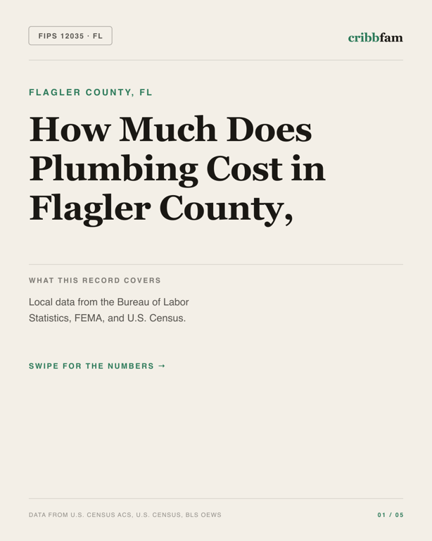 Plumbing in Flagler County, FL — regional cost snapshot
