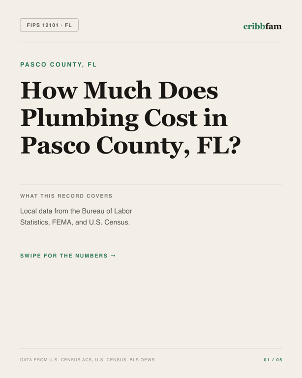 Plumbing in Pasco County, FL — regional cost snapshot