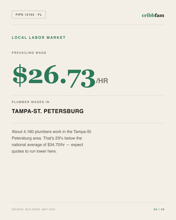 Plumbing in Pinellas County, FL — local labor market data