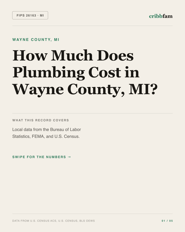 Plumbing in Wayne County, MI — regional cost snapshot