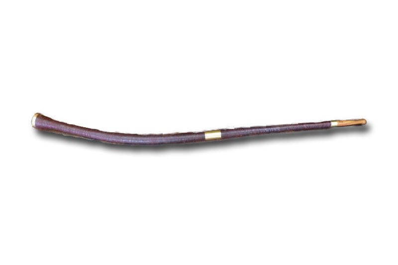 Trombita stredná, dĺžka: cca 220cm, počet častí: 2/2