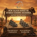 Ceramic Racing Bearing Kit — MR03 / Pan & MR04 thumbnail 4