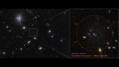 an hubble image of the perseu cluster showing some nearby stars and a lot of background galaxies. An inset shows a zoomed in version on an areas, showing globu…