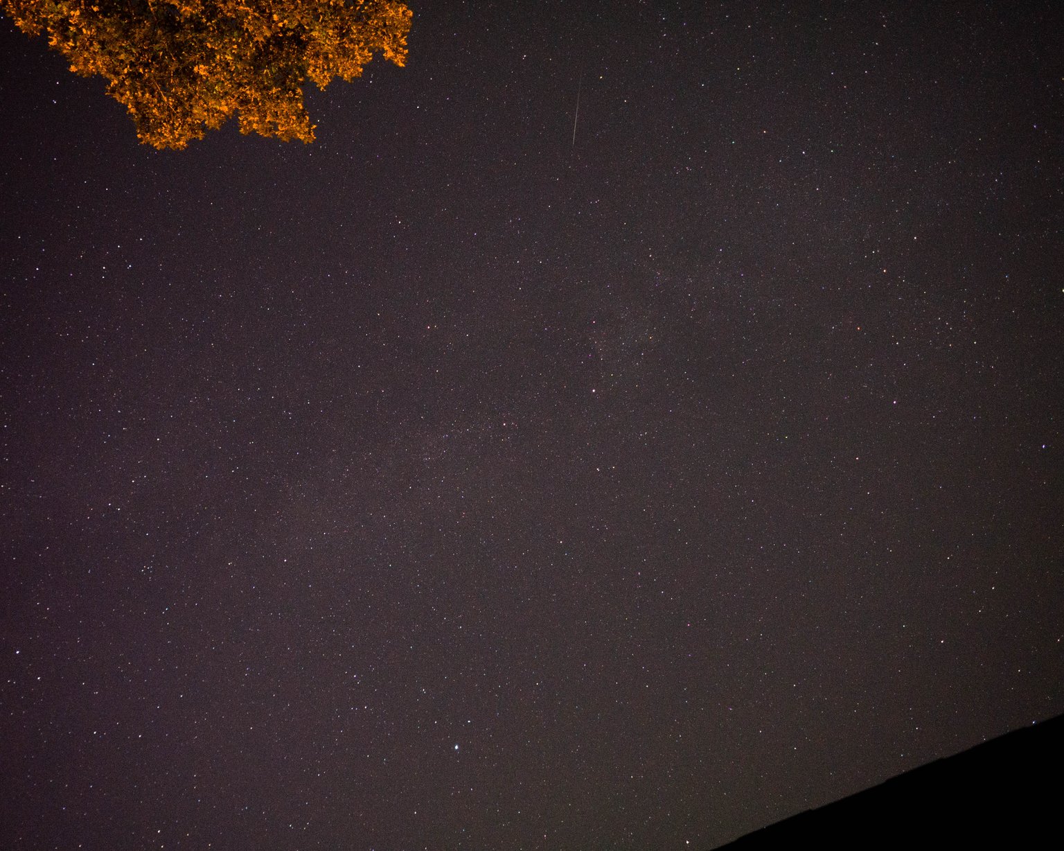 Jemná stopa Orionidy nad střechou a osvětlenou korunou stromu na nočním snímku.