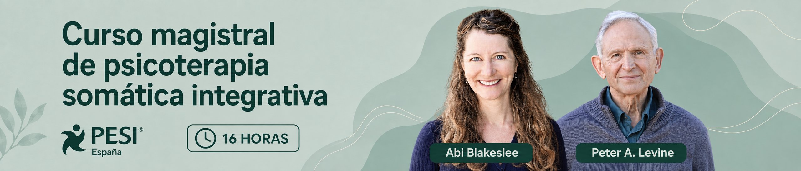 Curso magistral de psicoterapia somática integrativa