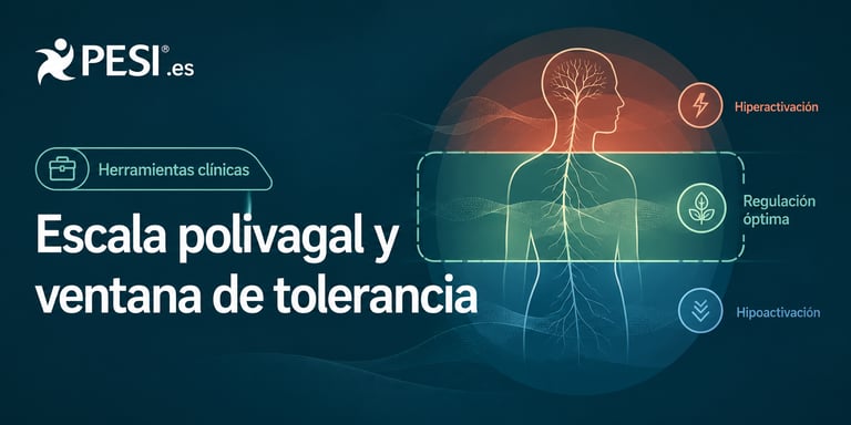 Escala polivagal y ventana de tolerancia [guía clínica y recurso gratuito]