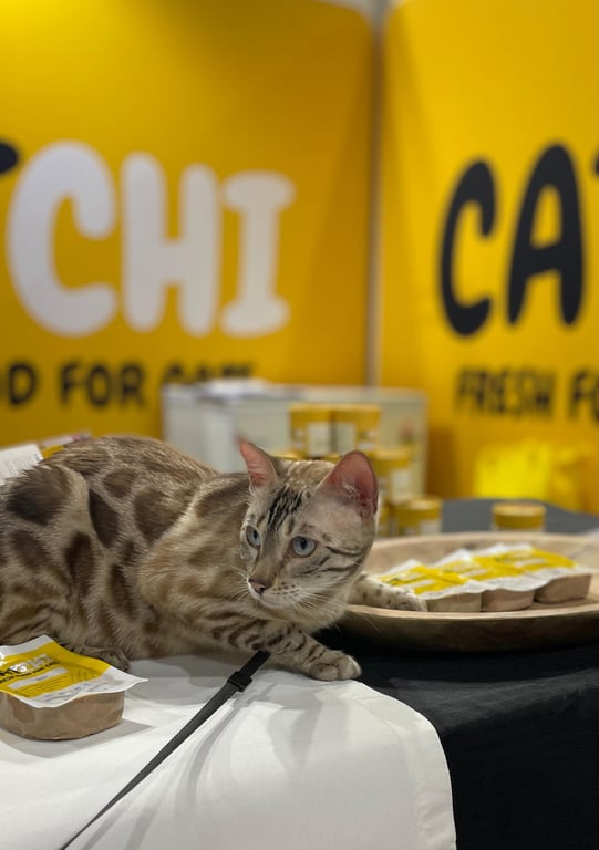 Bengal