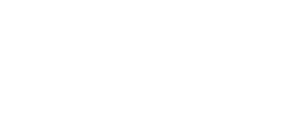 birdseye media logo