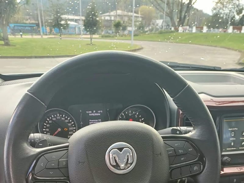 RAM 1000 STL 2020 - Imagen 12 de 13