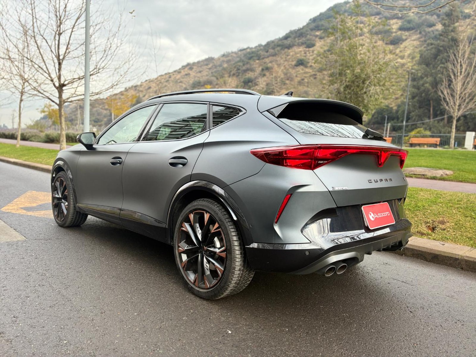 Cupra FORMENTOR VZ 4DRIVE 4X4 2.0L 🇪🇸 Pint Mate 333HP 2025 - Imagen 10 de 20