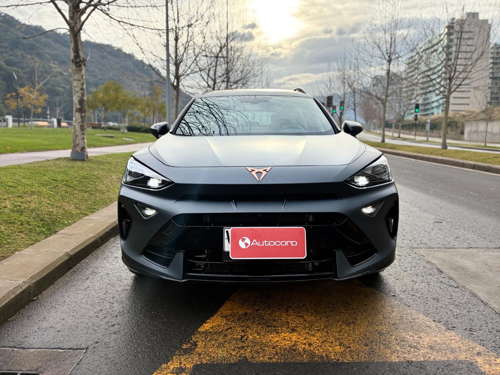 Cupra FORMENTOR VZ 4DRIVE 4X4 2.0L 🇪🇸 Pint Mate 333HP 2025 - Foto 2 de 20