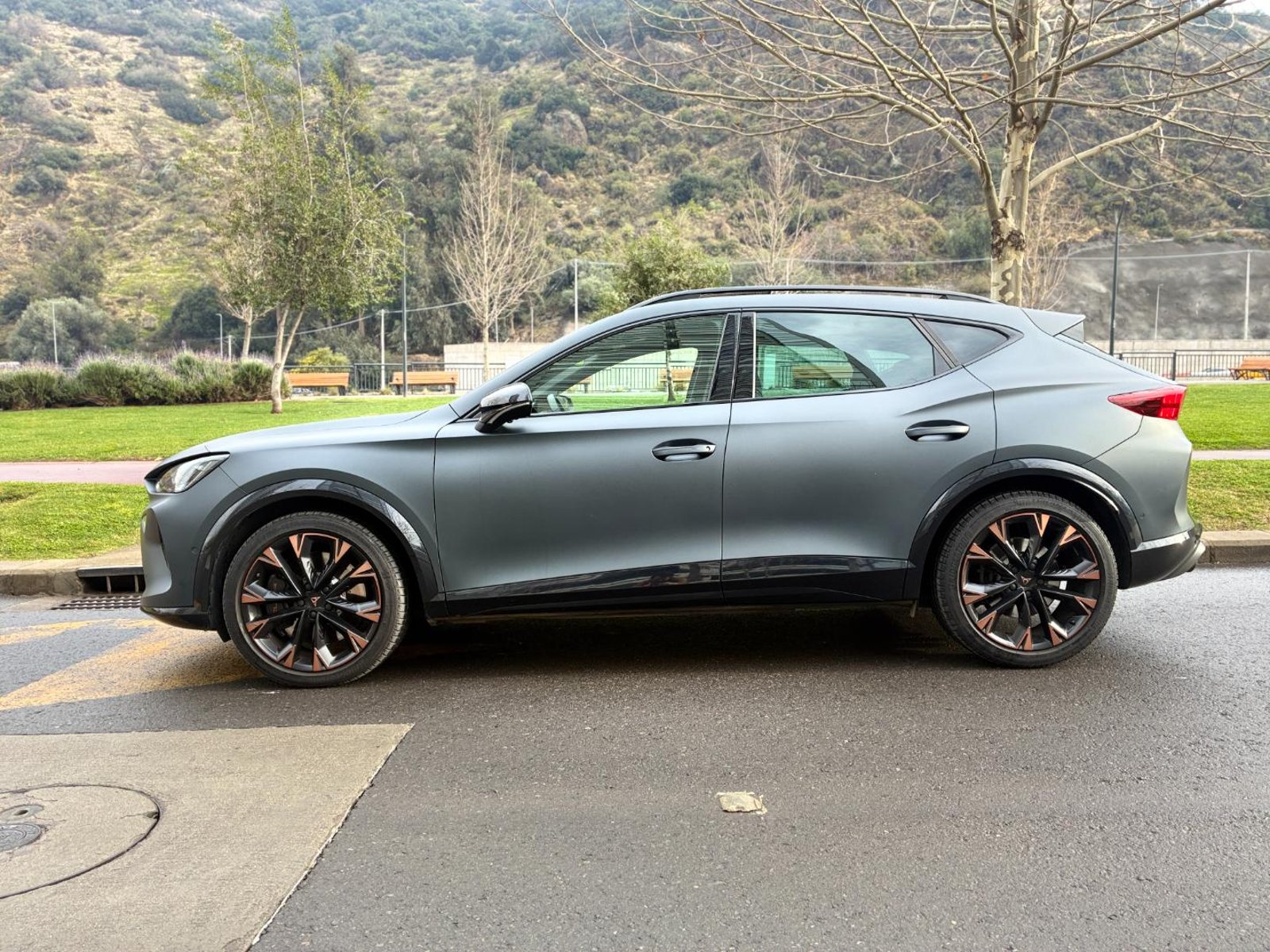 Cupra FORMENTOR VZ 4DRIVE 4X4 2.0L 🇪🇸 Pint Mate 333HP 2025 - Imagen 4 de 20