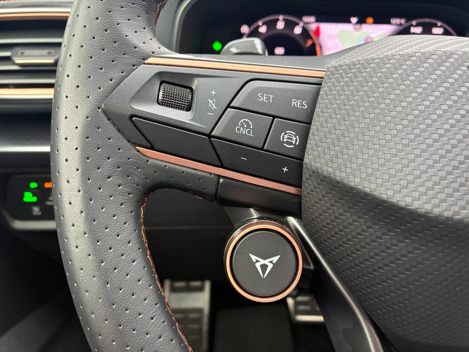 Cupra FORMENTOR VZ 4DRIVE 4X4 2.0L 🇪🇸 Pint Mate 333HP 2025 - Imagen 18 de 20