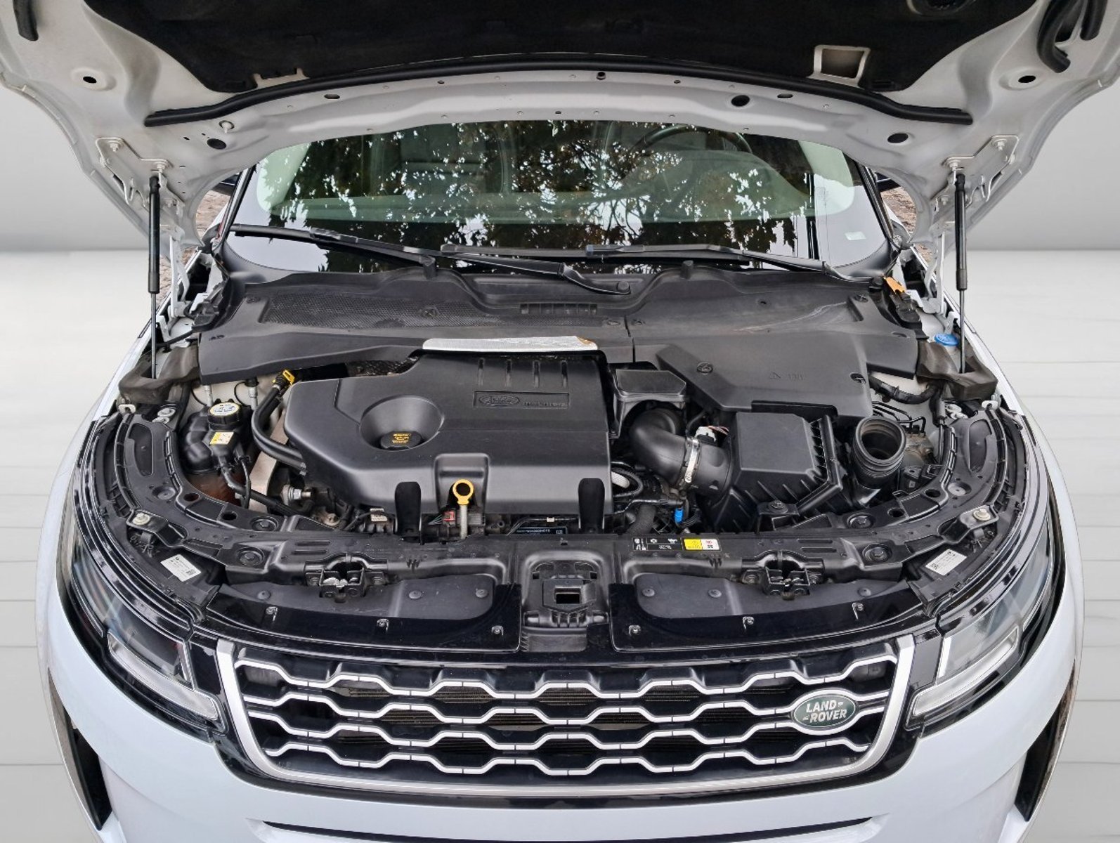 Land Rover RANGE ROVER EVOQUE New D180 S AWD 2.0 Aut 2020 - Imagen 6 de 10