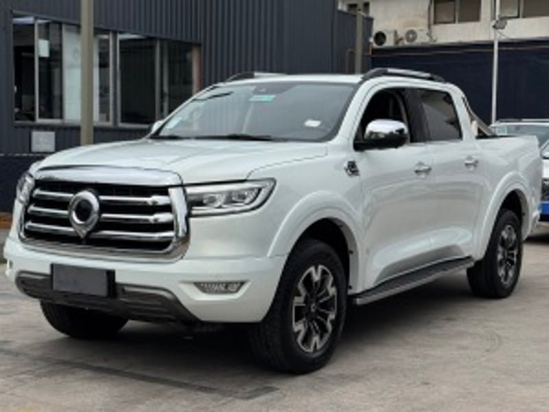 Great Wall Poer Plus 2024