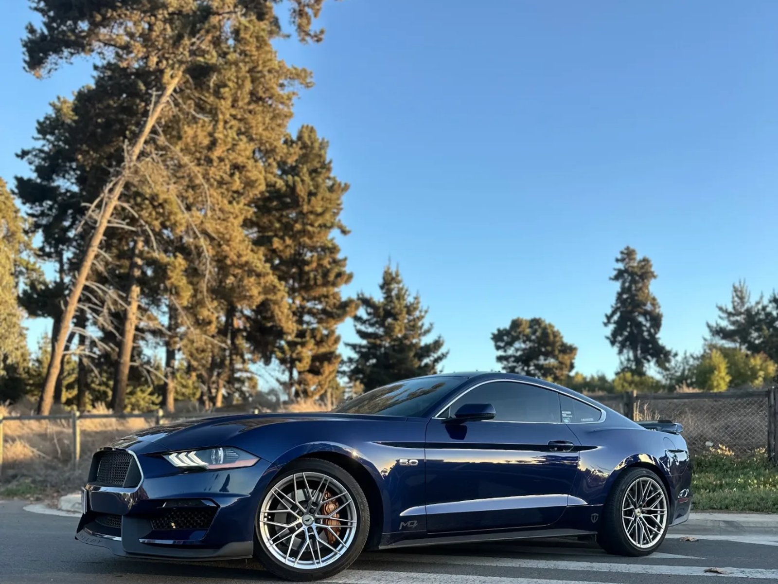 Ford 5.0 GT Premium AT 2019 - Foto 3 de 13
