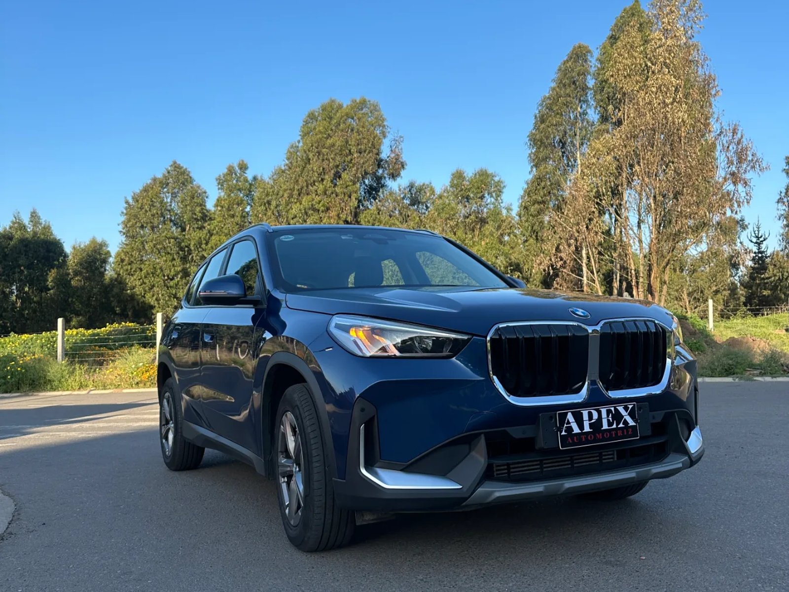 BMW X1  2.0 SDrive18d Confort 2023 - Foto 4 de 12