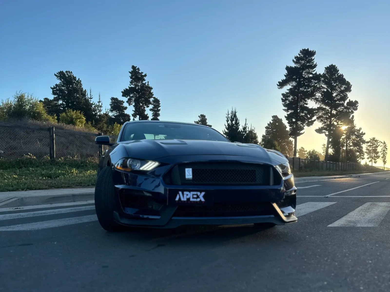Ford 5.0 GT Premium AT 2019 - Foto 4 de 13