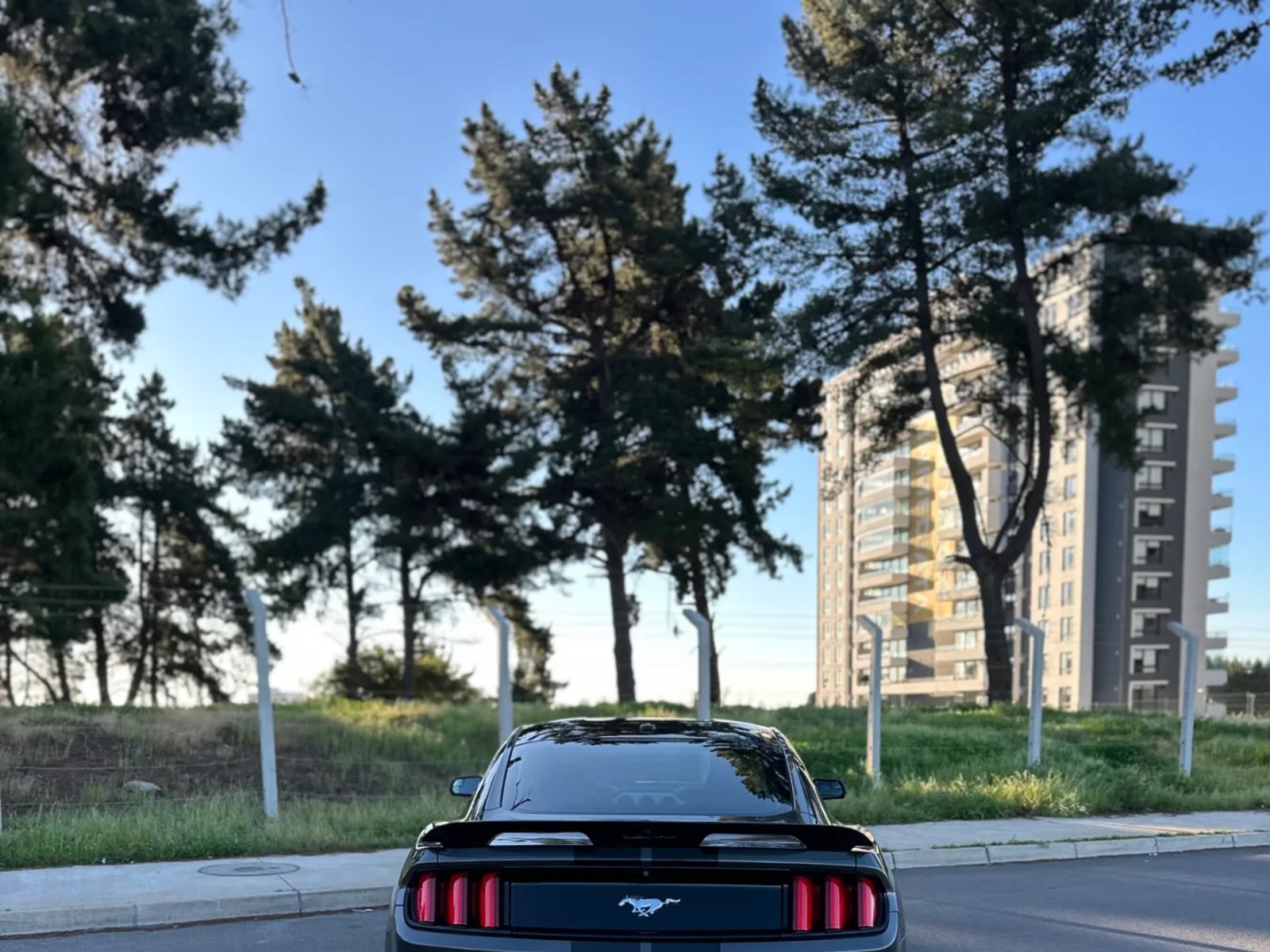 Ford Mustang Premium 2.3 2016 - Foto 4 de 11
