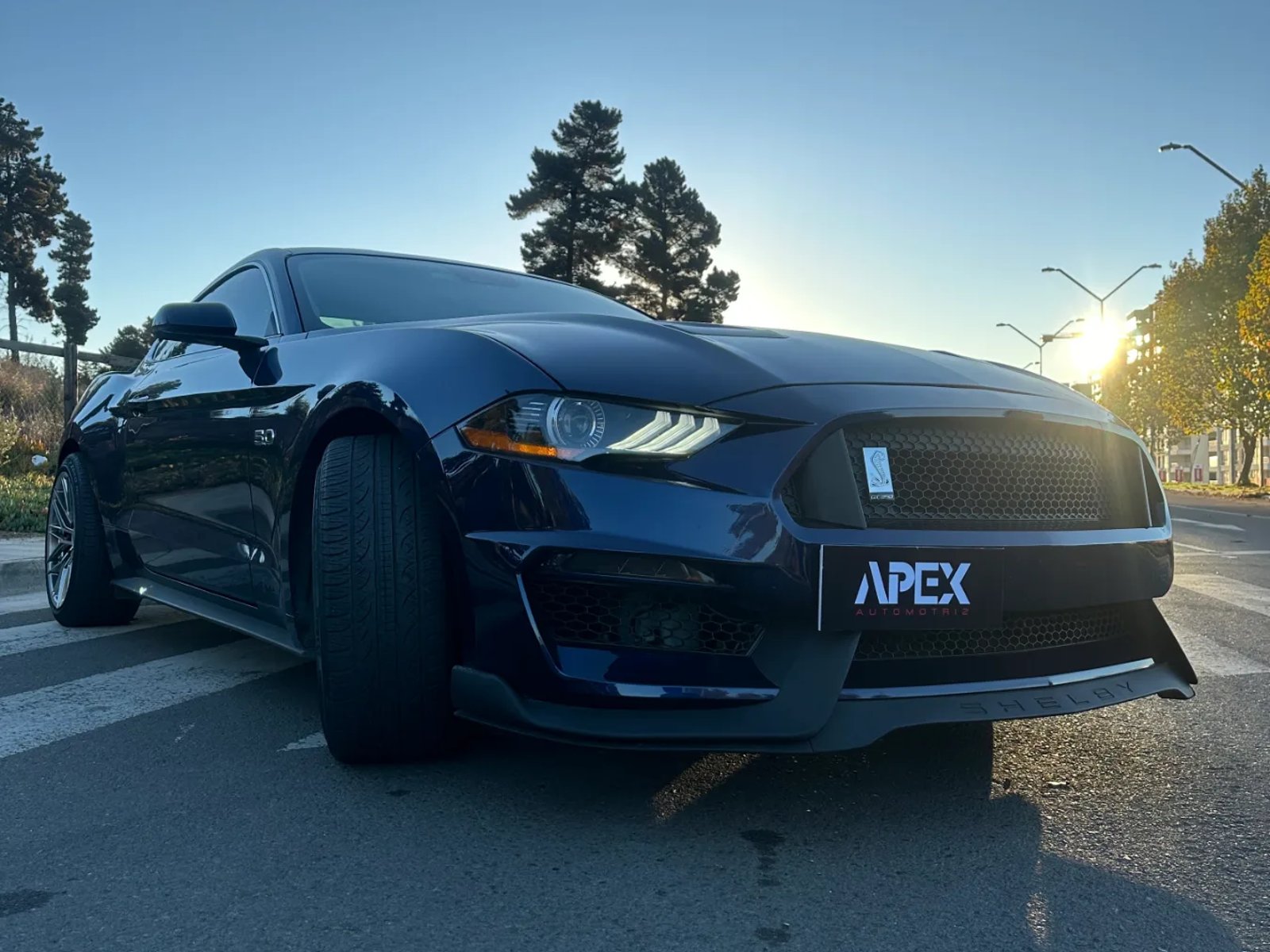 Ford 5.0 GT Premium AT 2019 - Foto 5 de 13