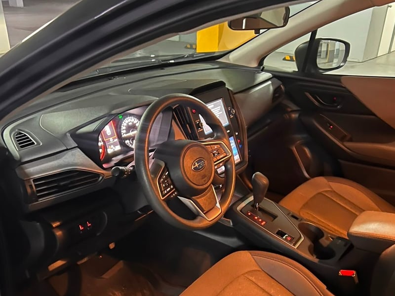 Subaru CROSSTREK 2.0 2025 - Imagen 10 de 10
