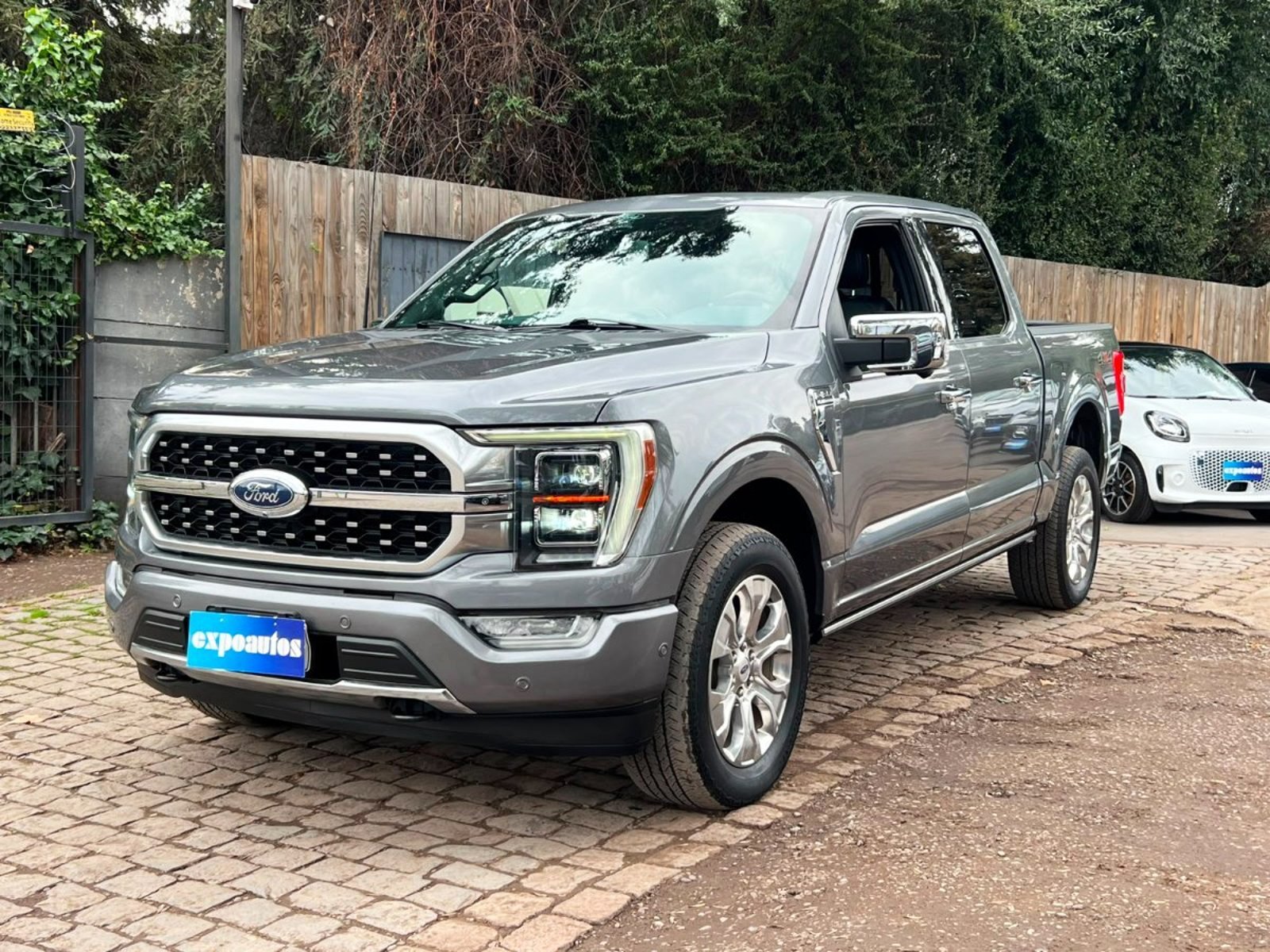 Ford F-150 PLATINIUM 4WD ECOBOOST 3.5 2023 - Foto 3 de 6