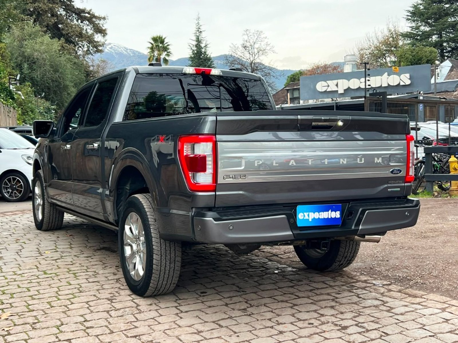 Ford F-150 PLATINIUM 4WD ECOBOOST 3.5 2023 - Imagen 6 de 6