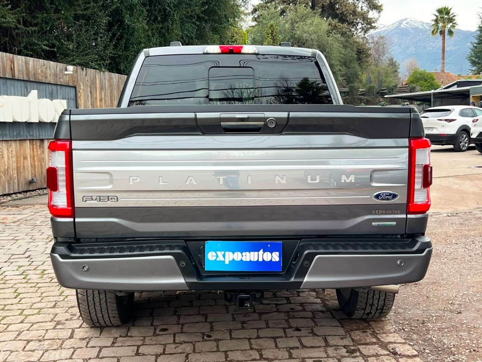Ford F-150 PLATINIUM 4WD ECOBOOST 3.5 2023 - Foto 5 de 6