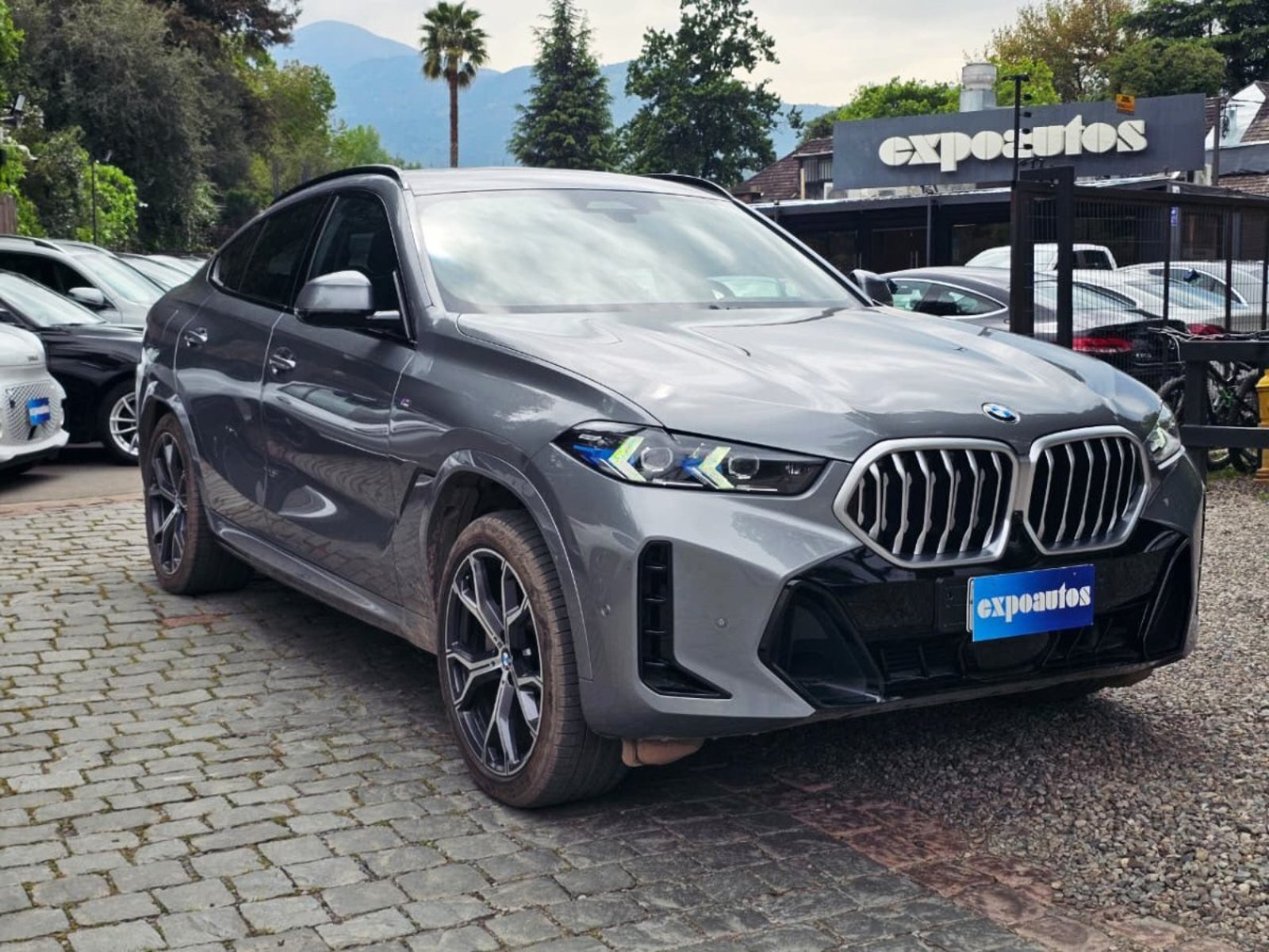 BMW X6 30d Msport Xdrive 2024