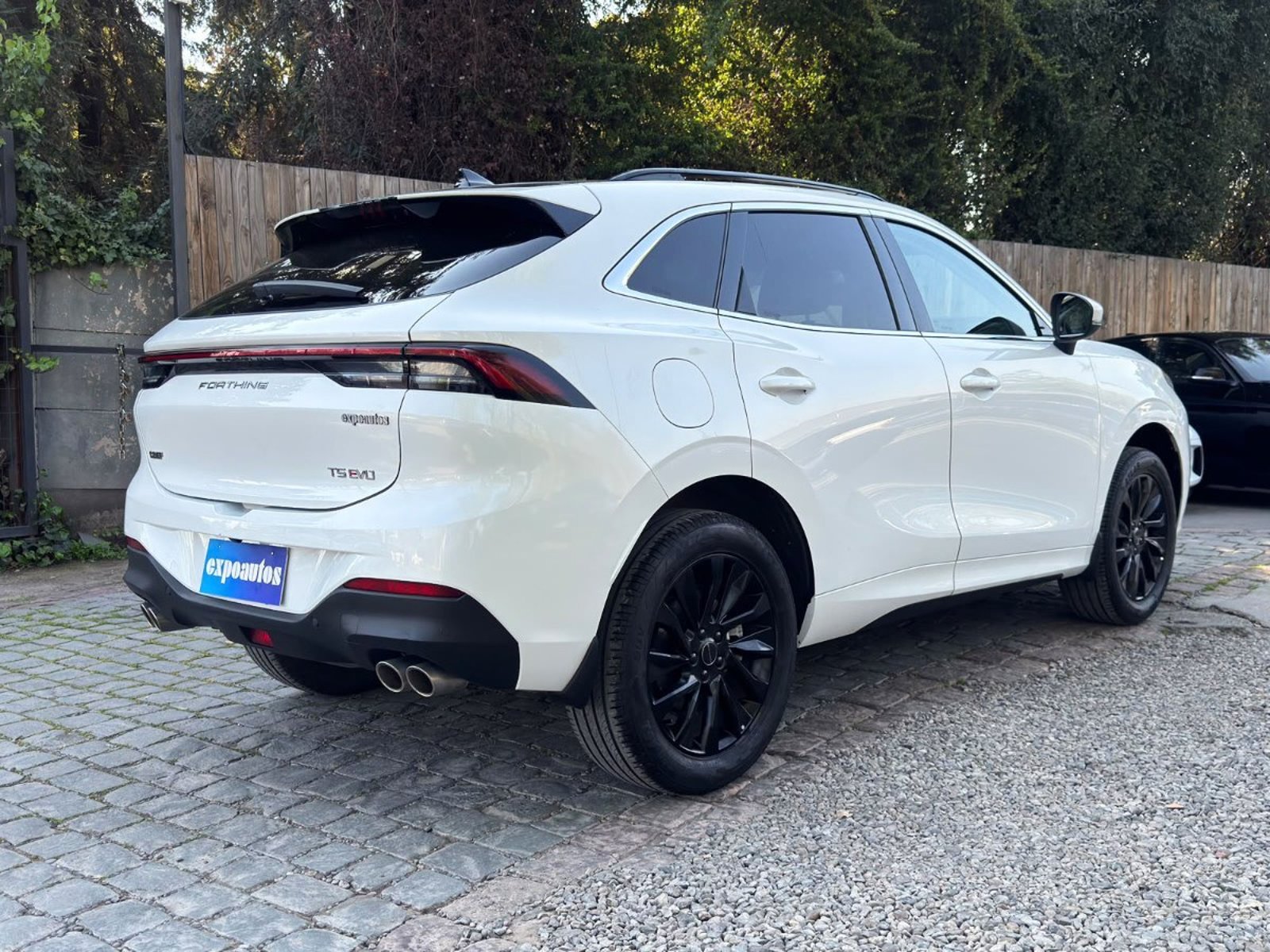 Dongfeng T5 EVO NOBLE 1.5T AT 2024 - Foto 4 de 10