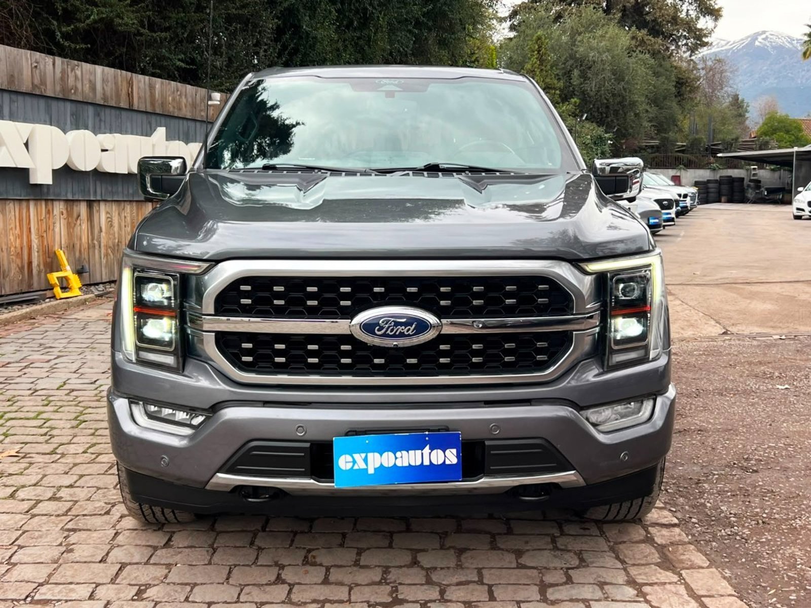 Ford F-150 PLATINIUM 4WD ECOBOOST 3.5 2023 - Foto 2 de 6