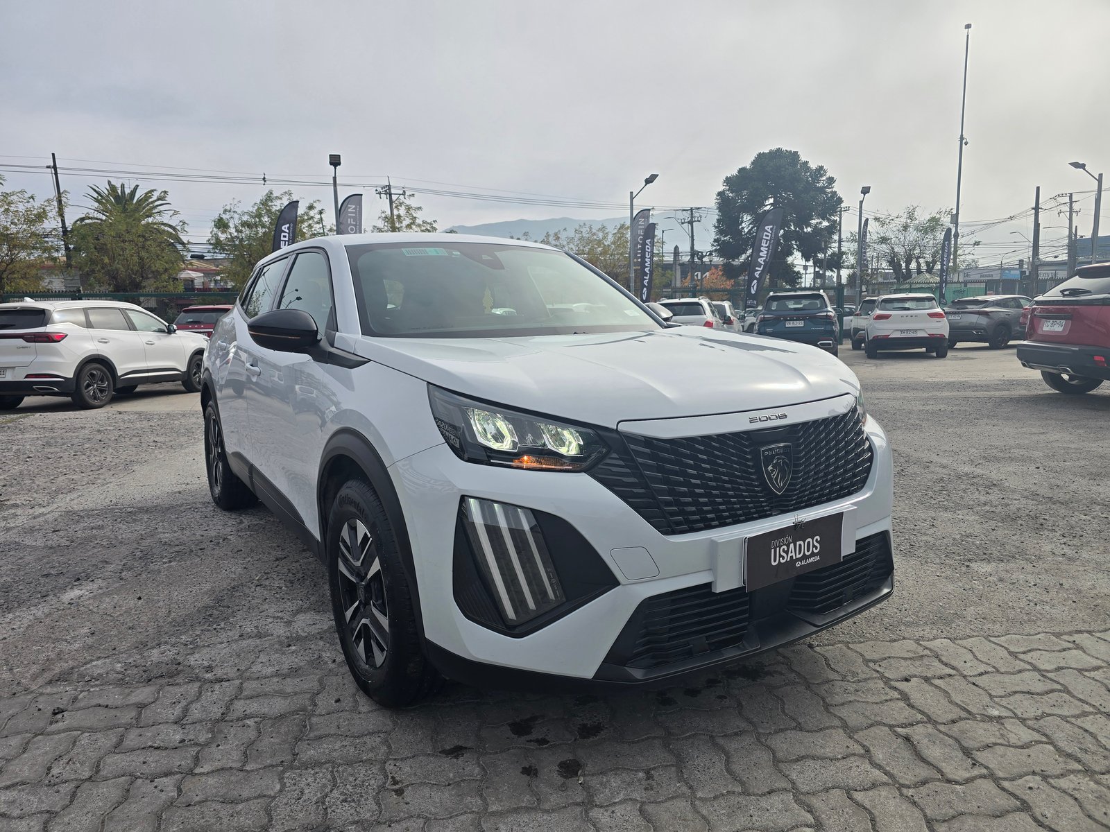 Peugeot 2008 ACTIVE 130 1.2 2024 - Imagen 17 de 18