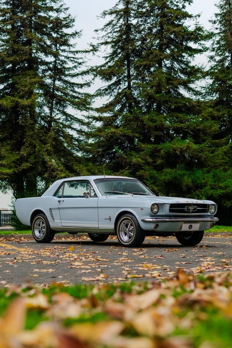 Ford Mustang Hardtop 1965 - Imagen 4 de 6
