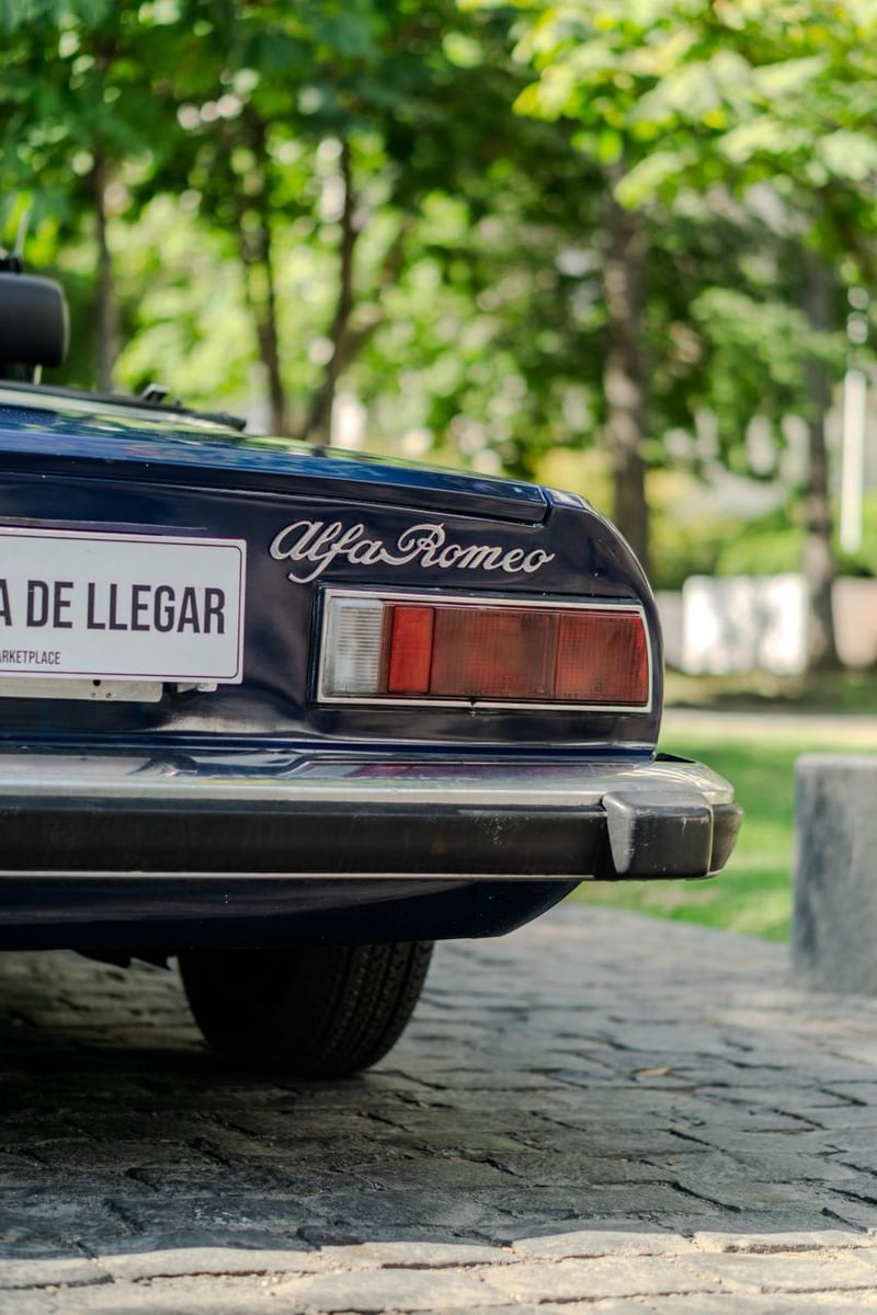 Alfa Romeo Spider 2000 Veloce 1976 - Imagen 6 de 6