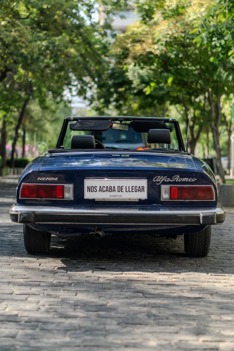 Alfa Romeo Spider 2000 Veloce 1976 - Imagen 3 de 6