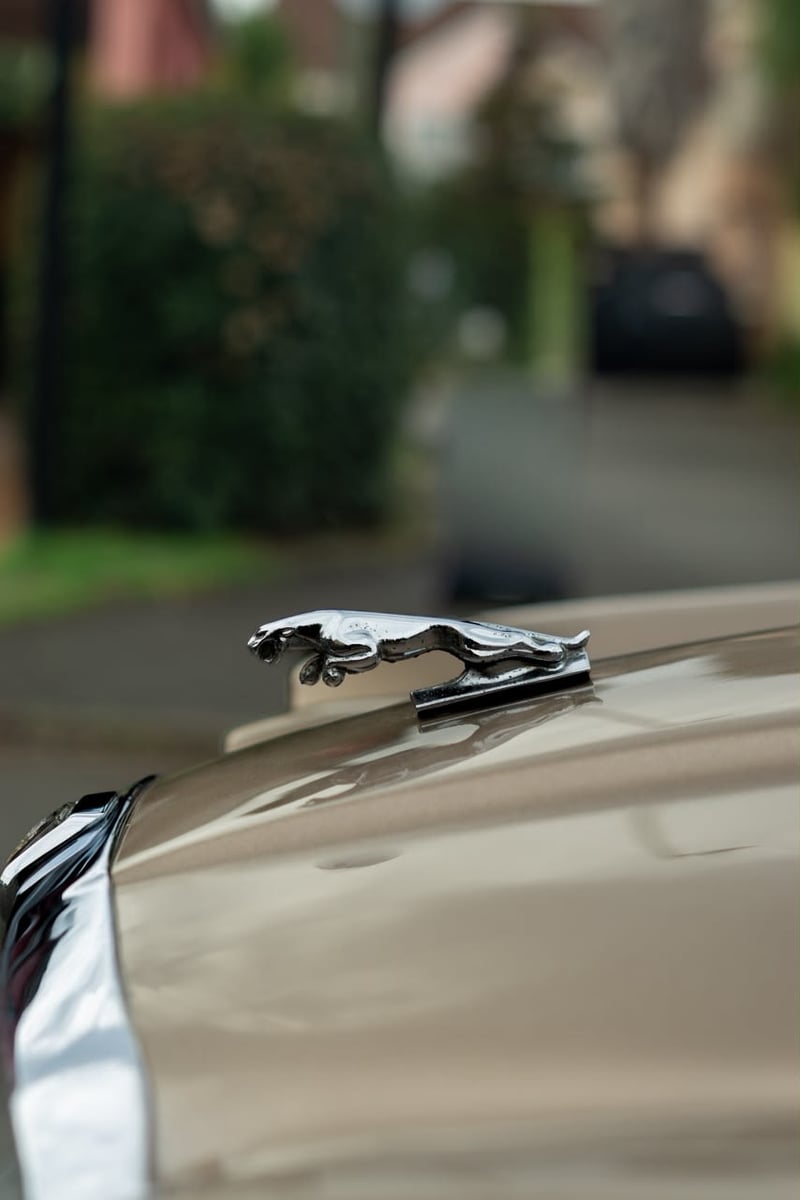 Jaguar XJ6 1986 - Imagen 6 de 6