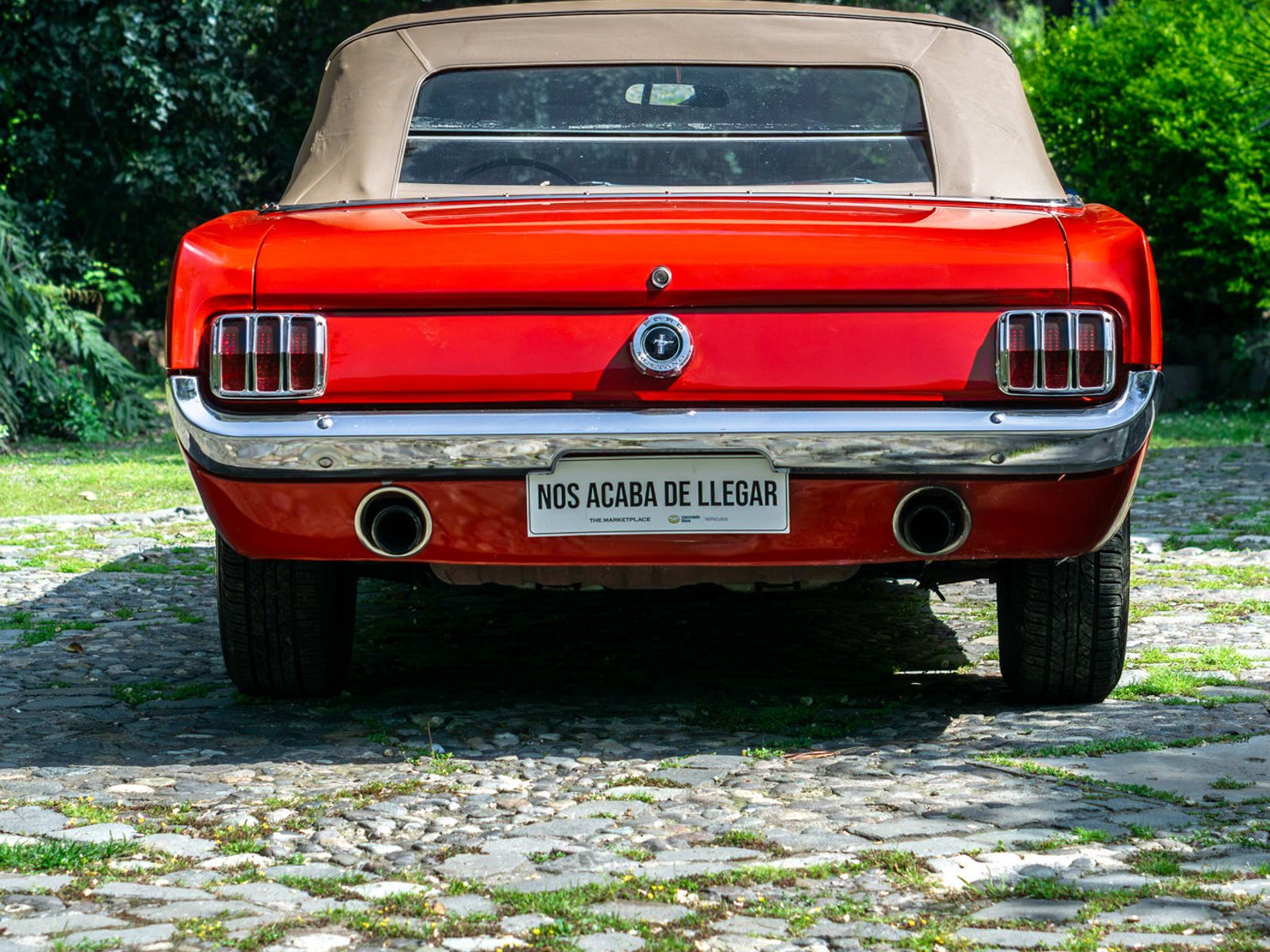 Ford Mustang 1965 - Foto 3 de 6