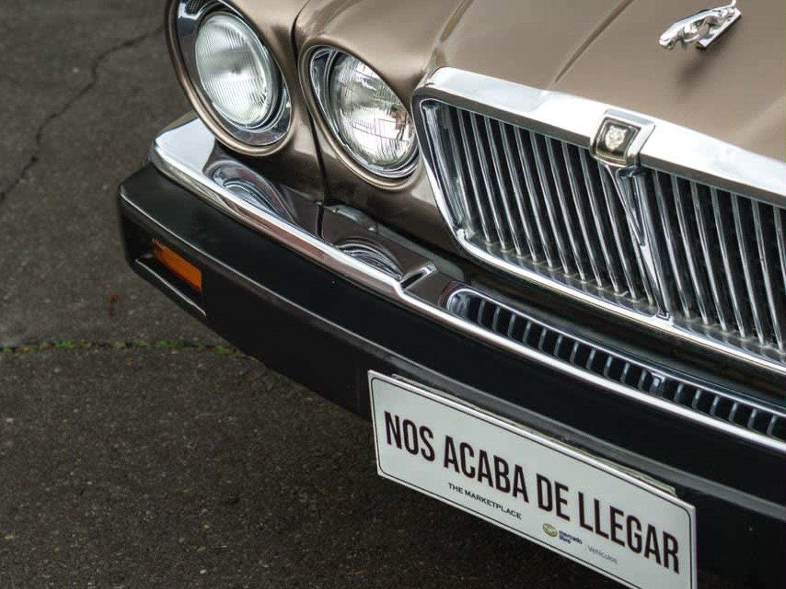 Jaguar XJ6 1986 - Foto 4 de 6