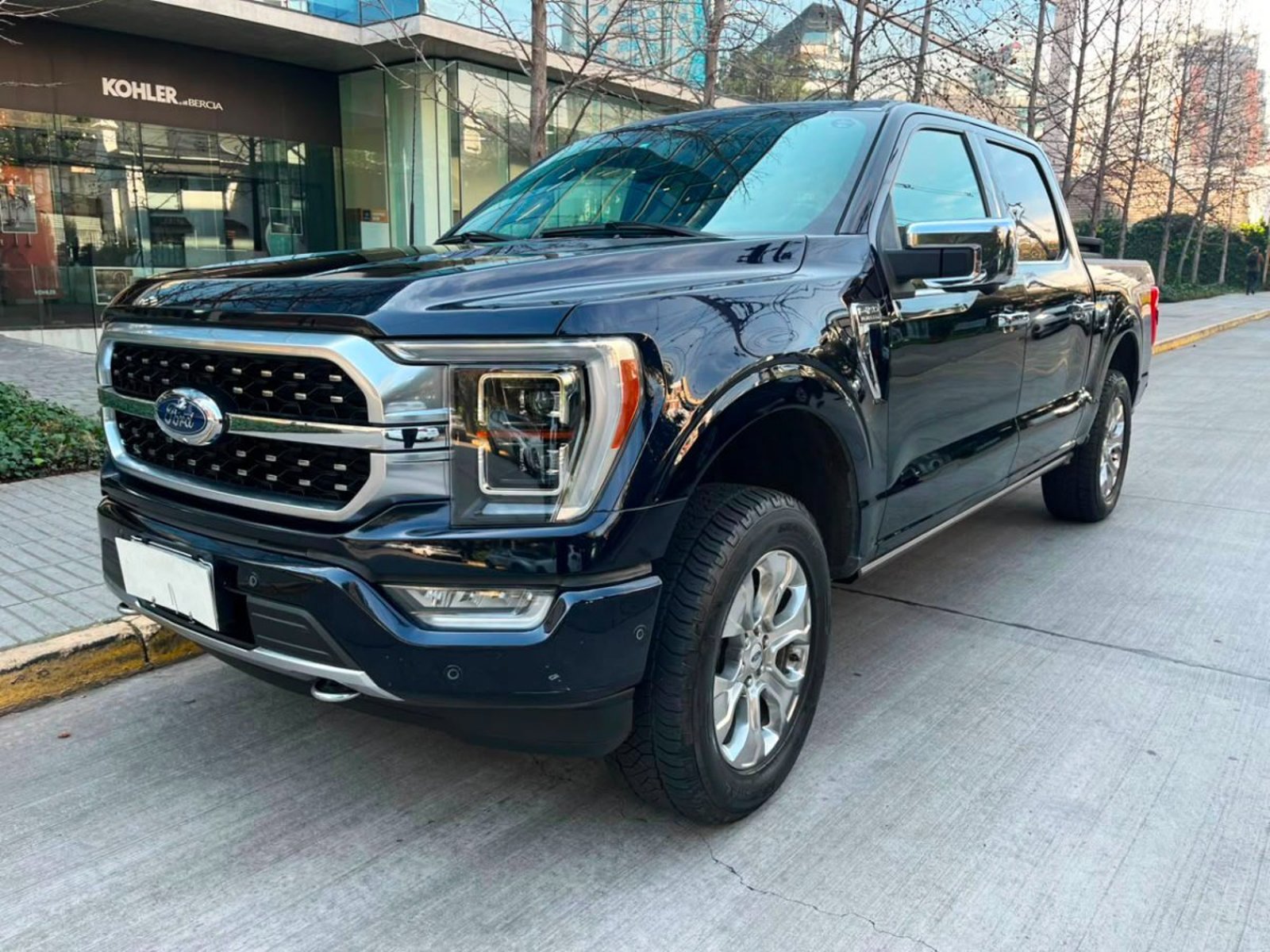 Ford F-150 PLATINIUM 3.5 2022 - Foto 3 de 10