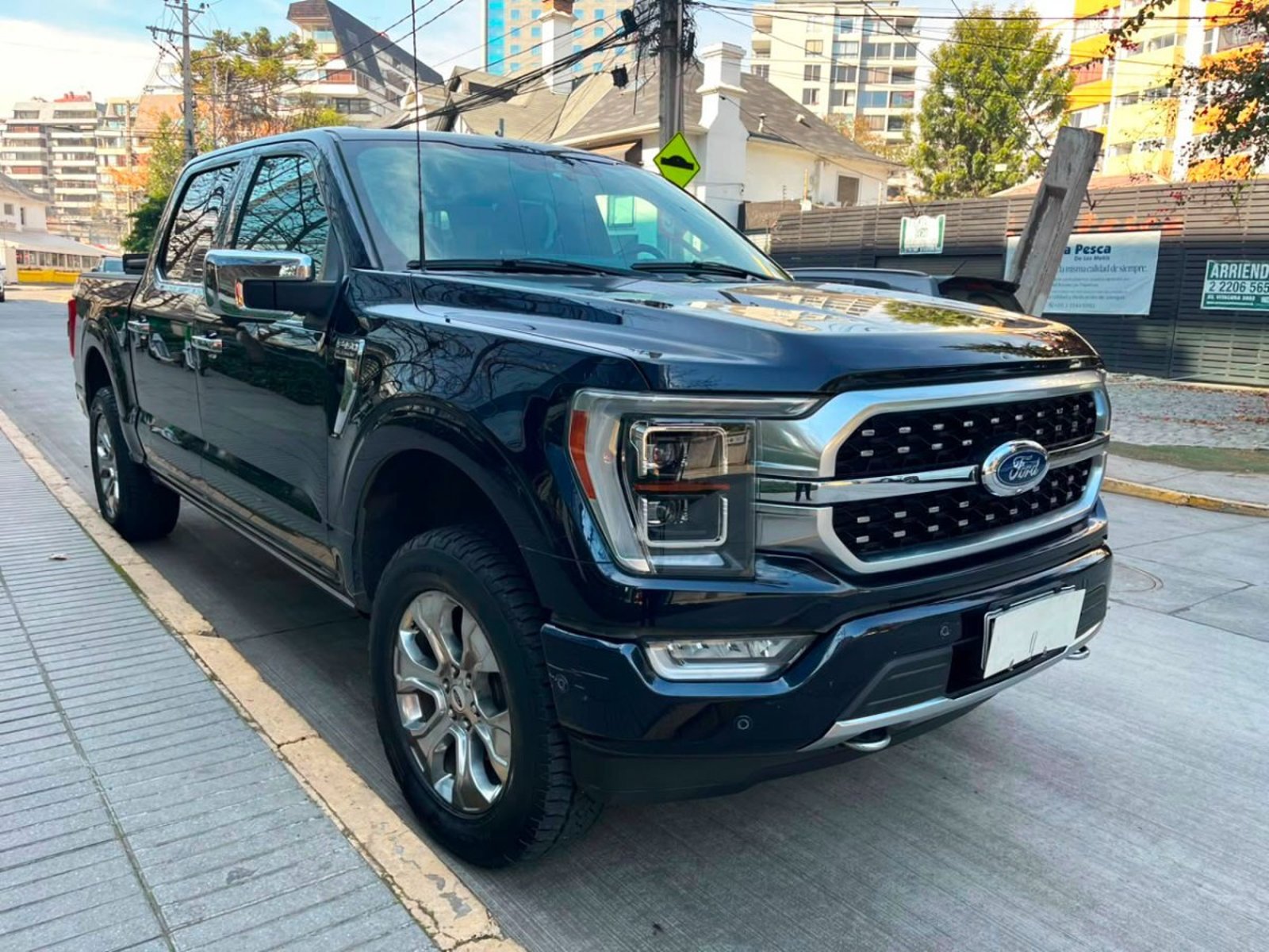Ford F-150 PLATINIUM 3.5 2022 - Foto 2 de 10