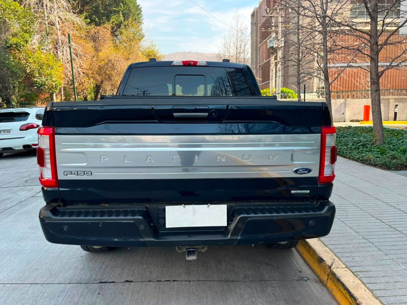 Ford F-150 PLATINIUM 3.5 2022 - Foto 5 de 10