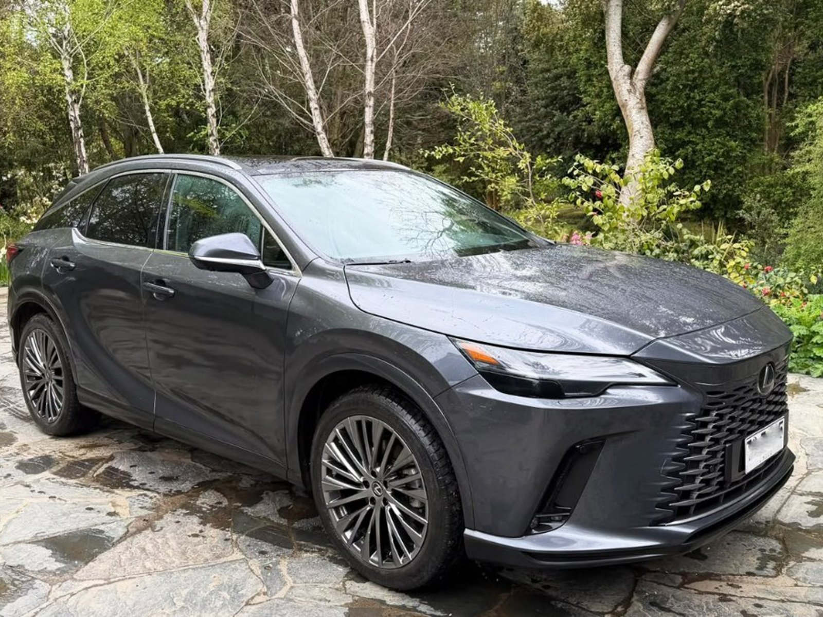 Lexus RX350h HÍBRIDO 2.5 AWD 2025 - Foto 2 de 8