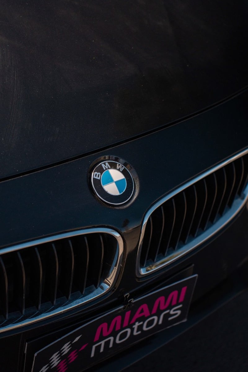 BMW 420I GRAN COUPE 2019 - Imagen 19 de 19