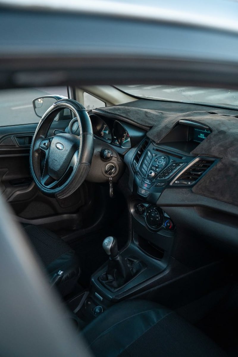Ford FIESTA 2018 - Imagen 19 de 20