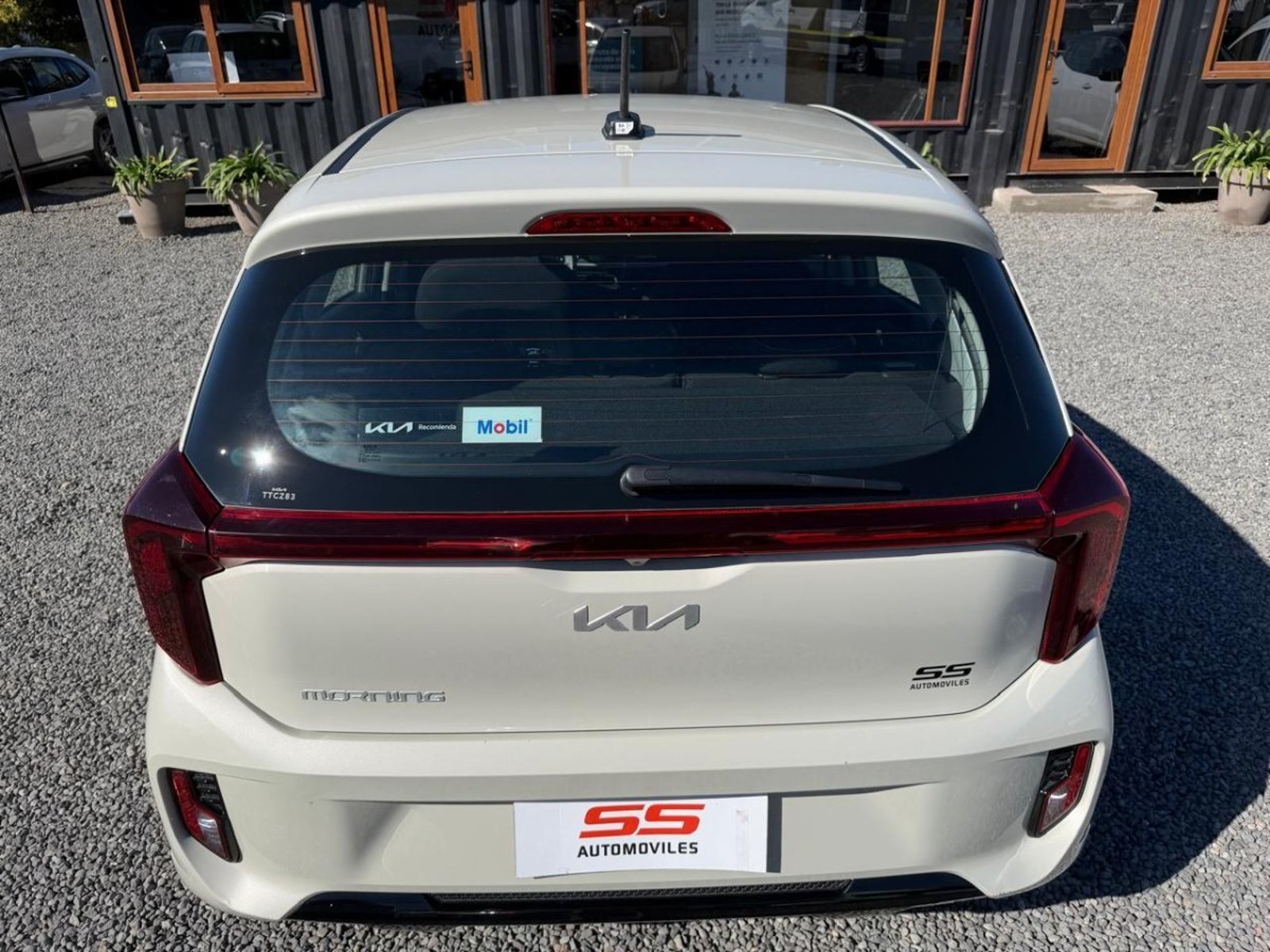 Kia MORNING EX 1.0 MT5 AC Kia Morning 2025 - Imagen 8 de 10
