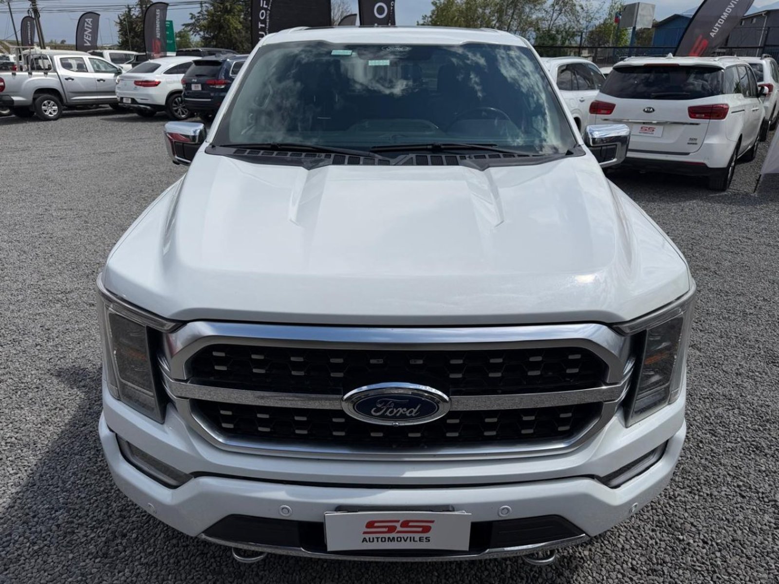 Ford F-150 PLATINUM 3.5 4X4 AT Ford F-150 2023 - Foto 3 de 10