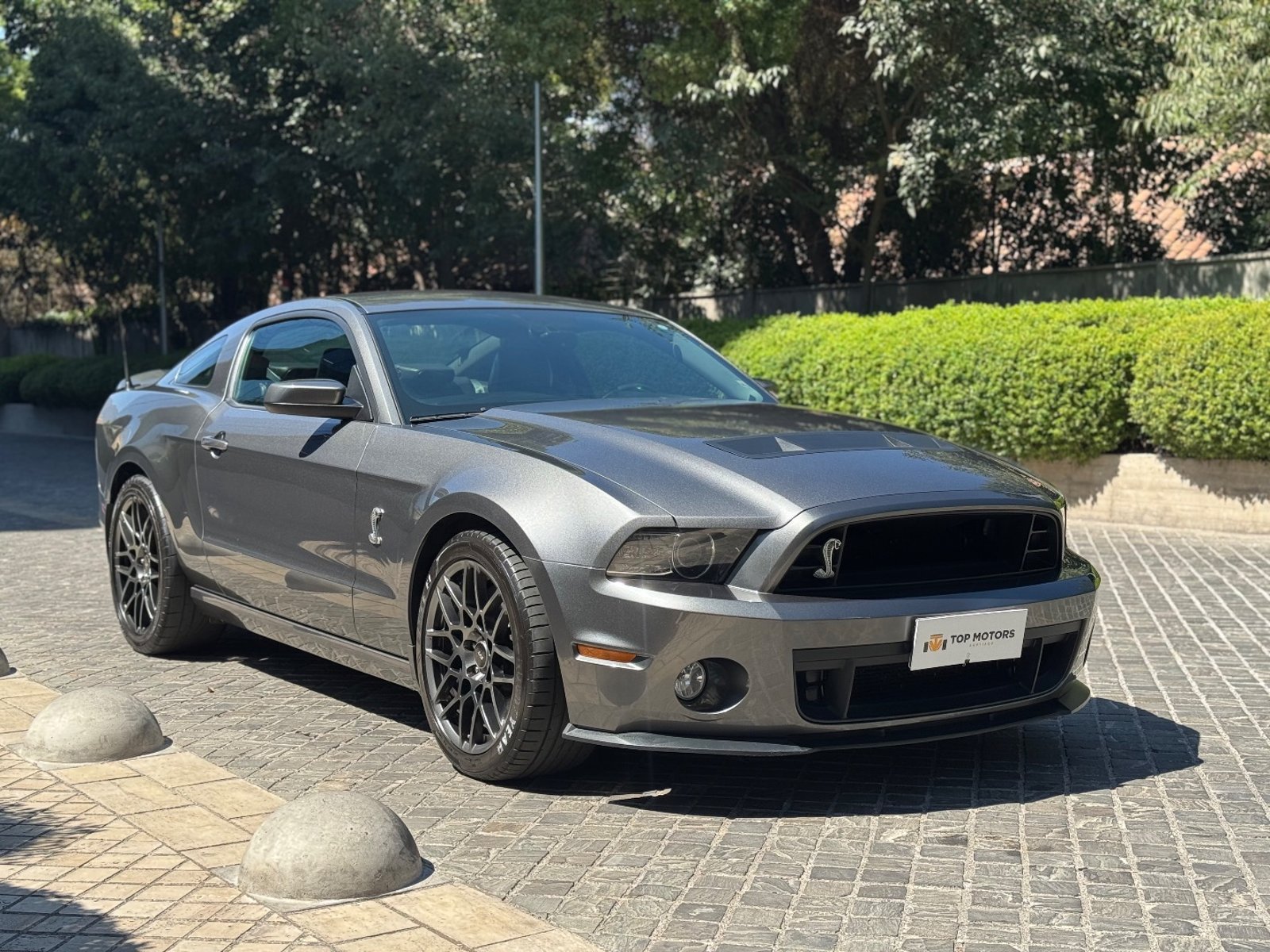 SHELBY SHELBY GT500 2013 - Foto 3 de 20